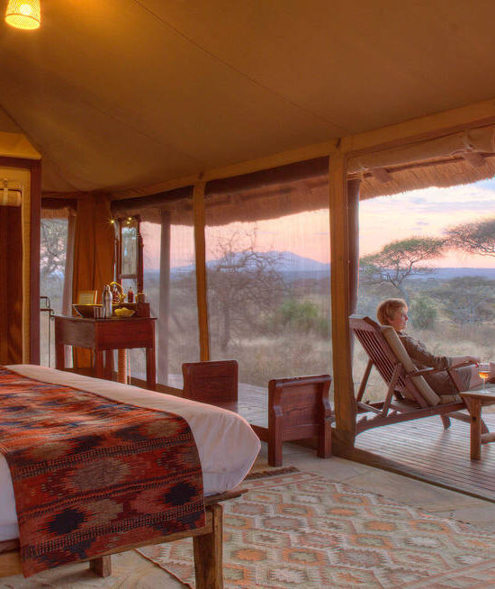 Tanzania Safaris Luxury Camps