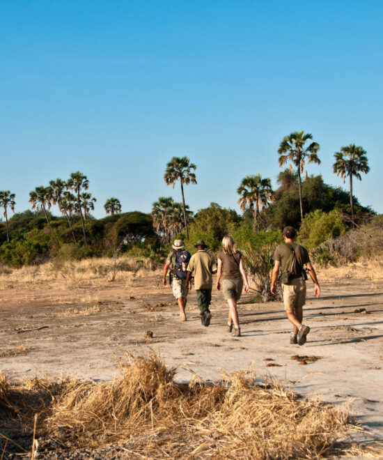 Bespoke Walking Safaris